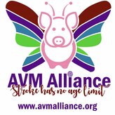 AVM Alliance Logo