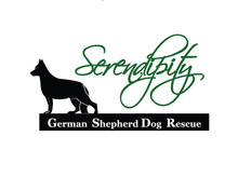 Serendipity German Shepherd Dog Rescue Logo