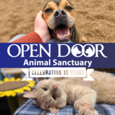 Open Door Animal Sanctuary Logo