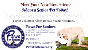 Paws For Seniors Logo