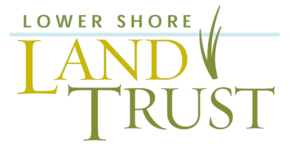 Lower Shore Land Trust Logo