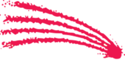 Magi Fund Logo