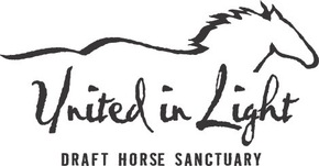 United In Light, Inc. Logo
