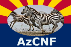 Arizona Neuroendocrine Cancer Foundation (TAPAZ) Logo