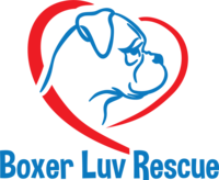 Boxer Luv Rescue Logo