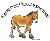 Equine Voices Rescue & Sanctuary Logo