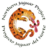Northern Jaguar Project Logo