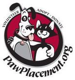 Paw Placement: A Helping Hand for Pets Logo