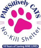 Pawsitively Cats Inc. Logo