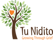Tu Nidito Children and Family Services Logo