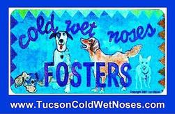 Tucson Cold Wet Noses Fosters, Inc. Logo