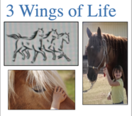 3 Wings of Life Logo
