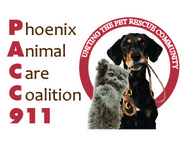 PACC911 (Phoenix Animal Care Coalition) Logo