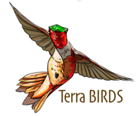 Terra BIRDS Logo
