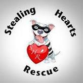 Stealing Hearts Rescue Logo