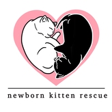 Newborn Kitten Rescue Logo
