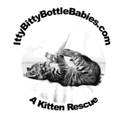 Itty Bitty Bottle Babies Logo