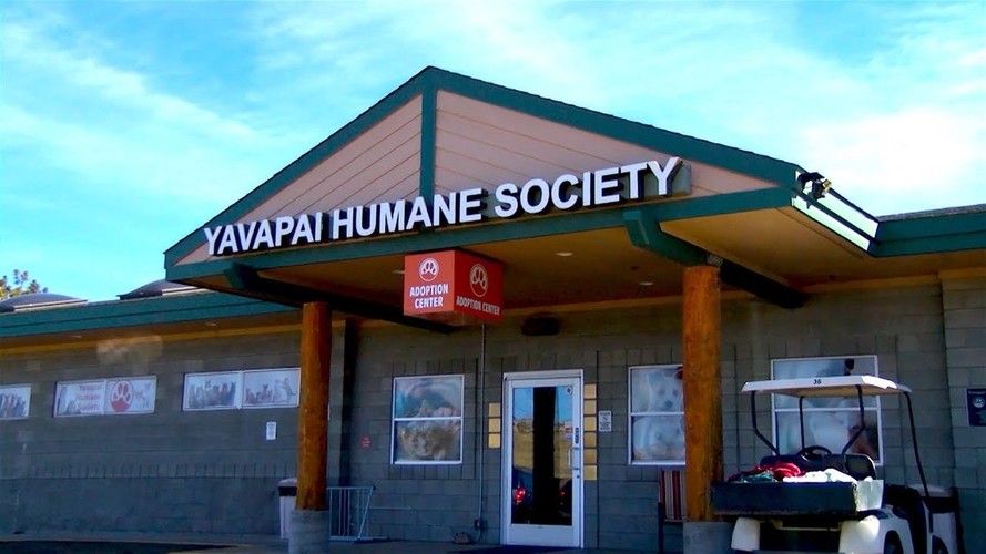 Yavapai county humane society new healthcare companies that can change the world