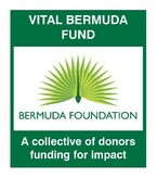 Vital Bermuda Fund Logo