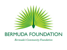 Skills Development Programme Fund Logo