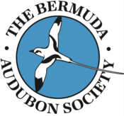 Bermuda Audubon Society Logo