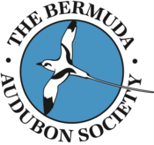 Bermuda Audubon Society  Logo