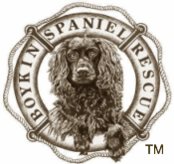 Boykin Spaniel Rescue, Inc. Logo