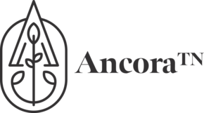 AncoraTN / Formerly End Slavery Tennessee Logo