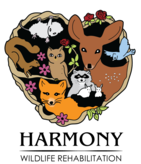 Harmony Wildlife Rehabilitation Center Logo