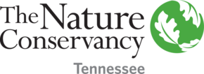 The Nature Conservancy of Tennessee Logo