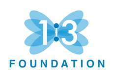 1 in 3 Foundation Logo