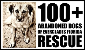 100 Plus Animal Rescue Inc Logo