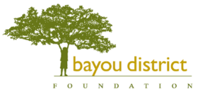 Bayou District Foundation Logo