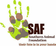 Southern Animal Foundation Logo