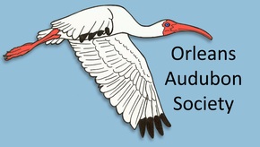 Orleans Audubon Society Logo