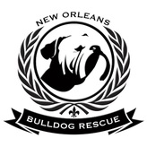 New Orleans Bulldog Rescue Logo