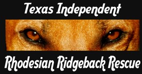 Texas Independent Rhodesian Ridgeback Rescue Logo