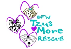 DFW Tzus and More Rescue Logo