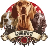 Cane Rosso Rescue Logo