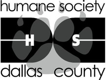 Humane Society of Dallas County/Dog & Kitty City Logo